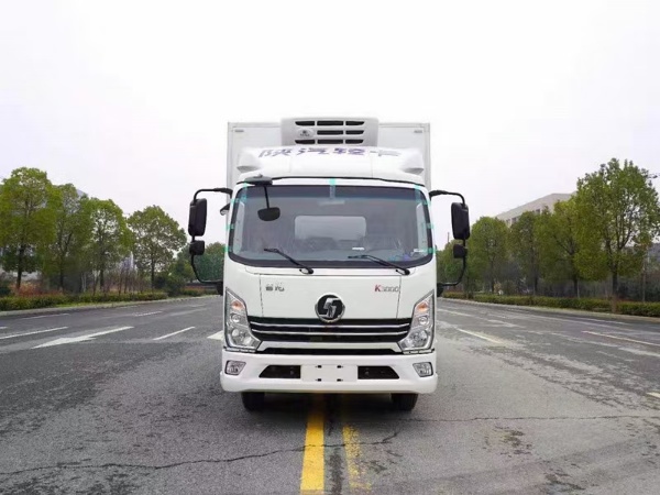 （國(guó)六）陜汽德龍K3000冷藏車(chē)